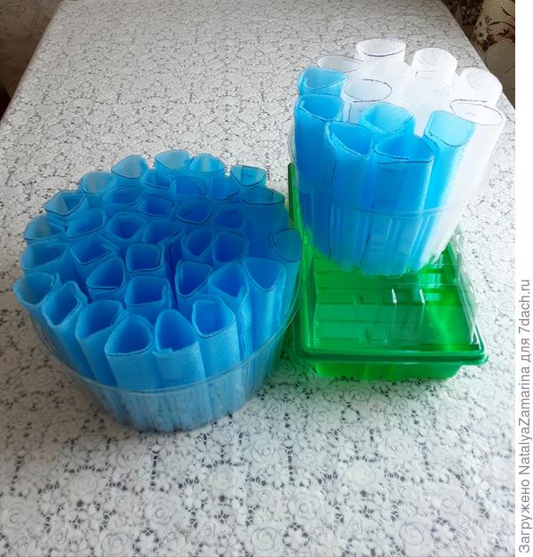 Стаканчики для рассады лука