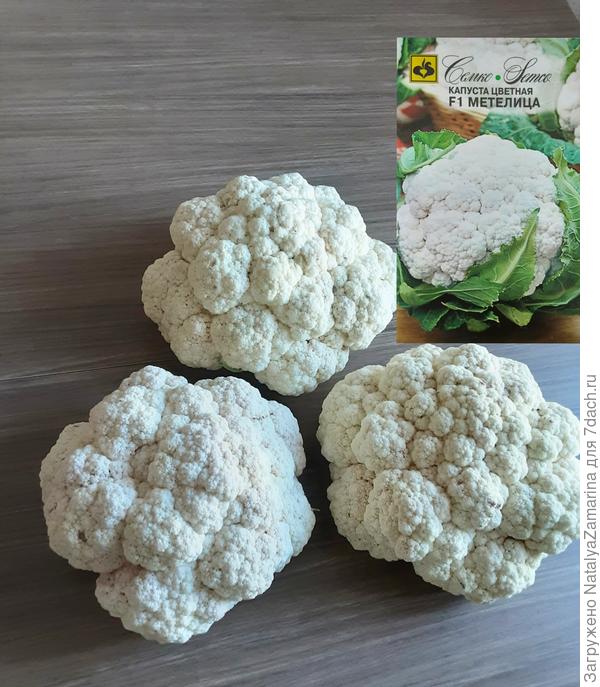 Урожай 2021 г