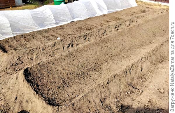 Подготовка грядки