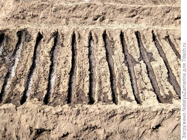 Полив бороздок