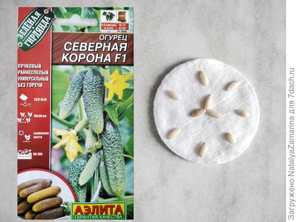 Семена огурца