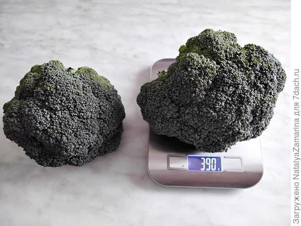 31 июля, первый  урожай