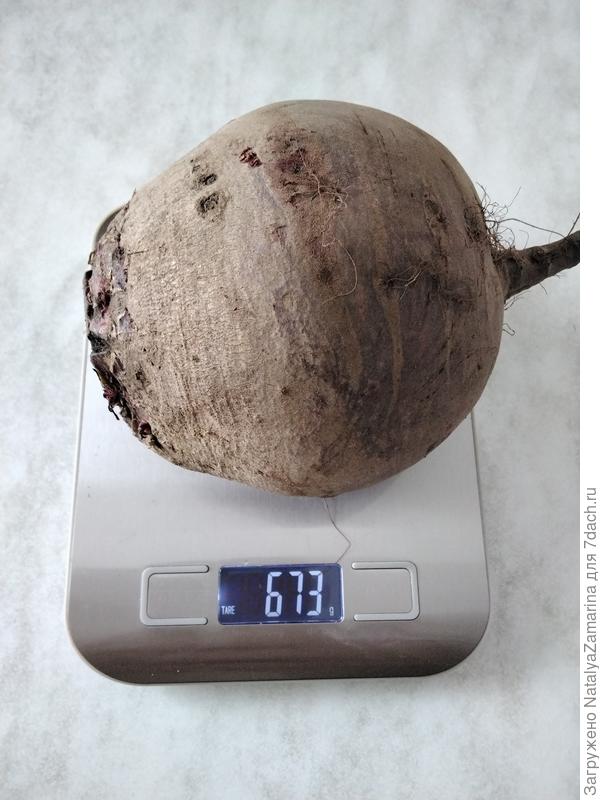 Самый крупный плод