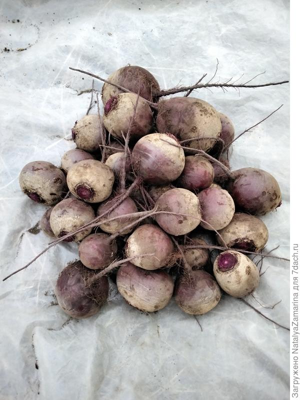 Подготовка к хранению