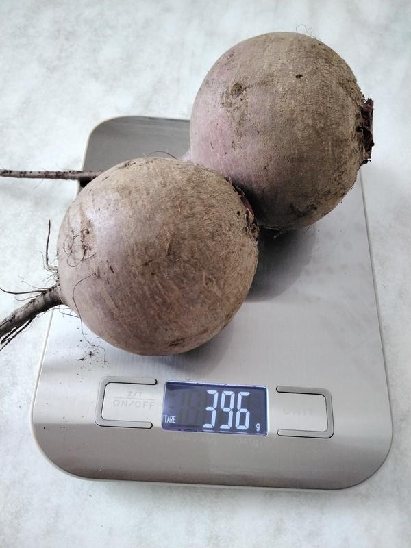 Средний вес свеклы