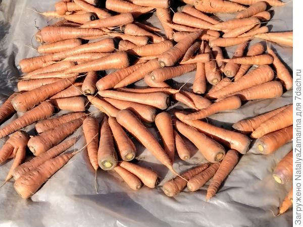 Отличный урожай