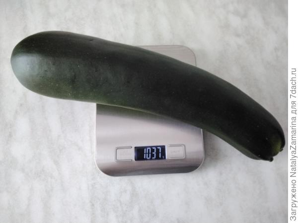 Самый крупный