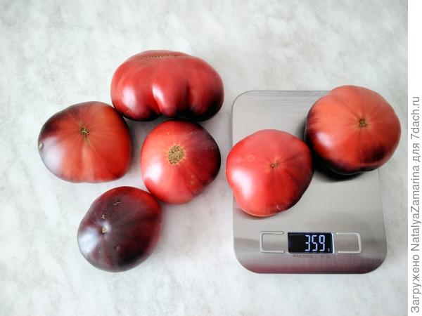 Средний вес помидорок
