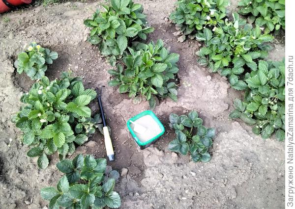 Подготовка к удобрению