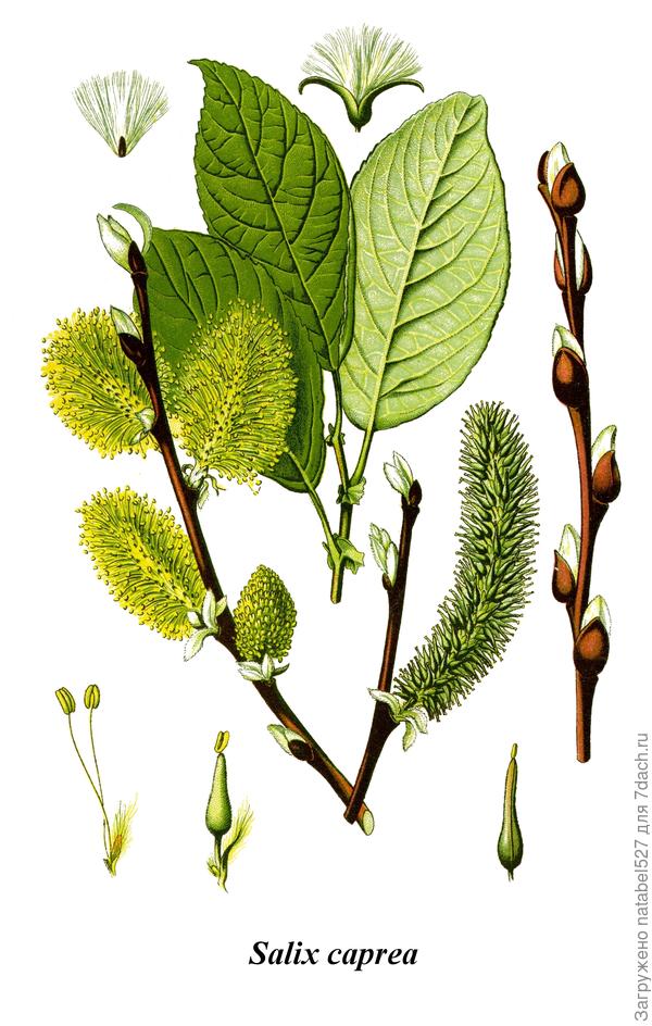 ну вот как-то так