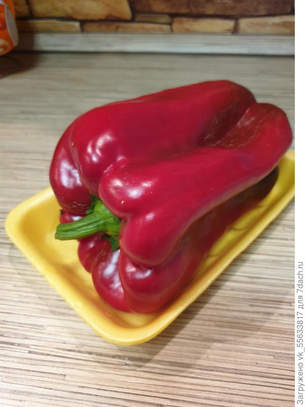 Едва влазит в положку для курицы