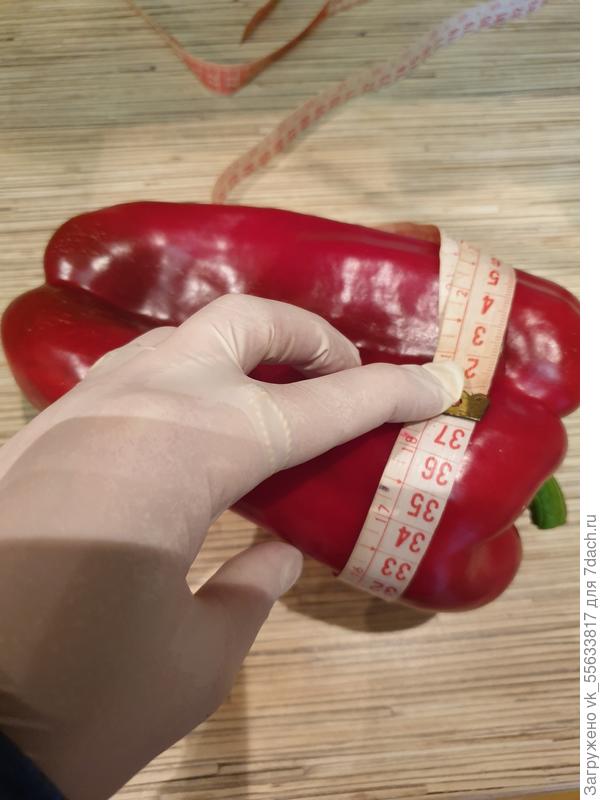 Шикарный объем 37 см