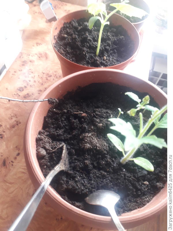 вот так проверяй