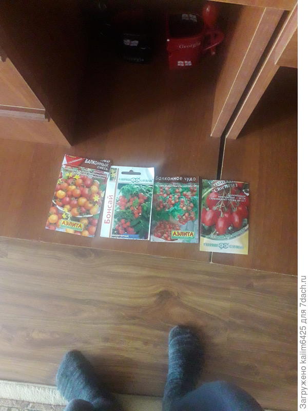 вот мои томаты которые половина погибли от черной ножки