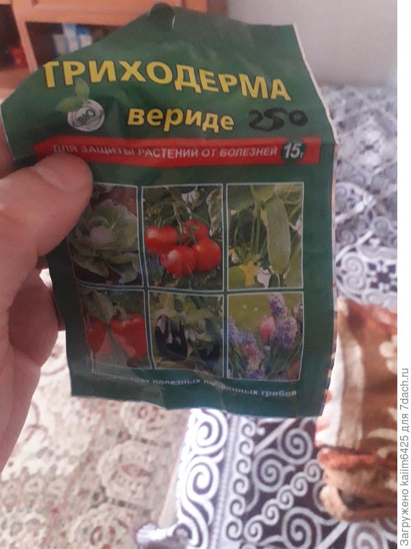 посмотрите в ютубе как их выращивают это сложно но вы сможете я знаю