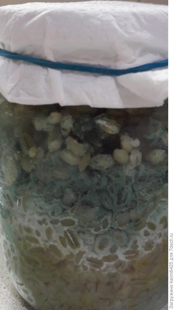 вот такая должна быть триходерма верди она точно поможет а не эти порошки которые находятся внутри!!!