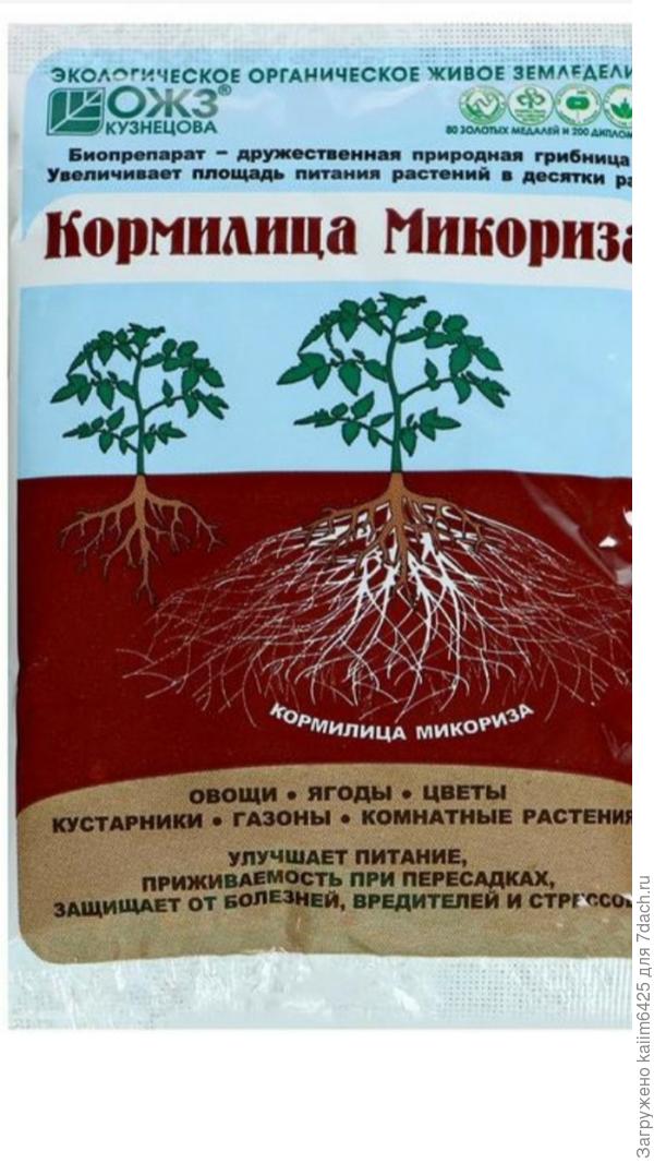 вот такую микориза подскажите и все !!