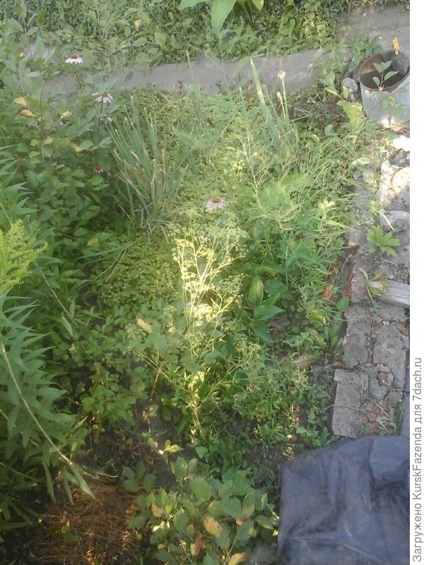 Другой угол по той же стороне; кирпичная кладка идет вниз, в погреб, а блоки к ней примыкают