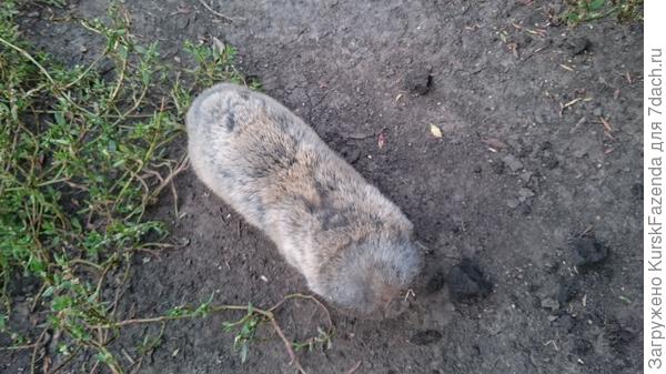 Затаился на пару сек.