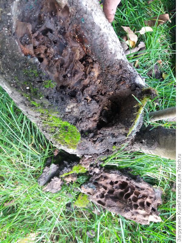 С другого ракурса