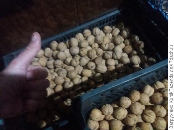 В этом году я заготовил несколько таких ящиков. И дядька тоже.