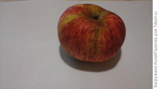 Яблоко
