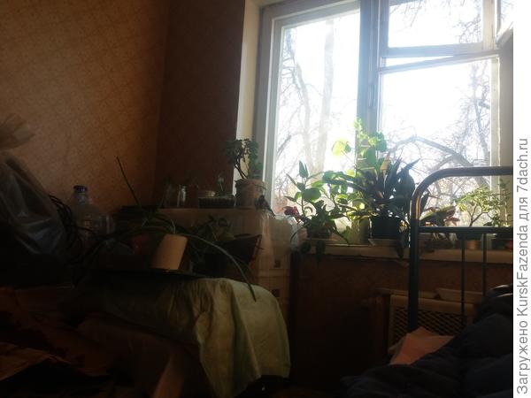 Найди на фото синичку