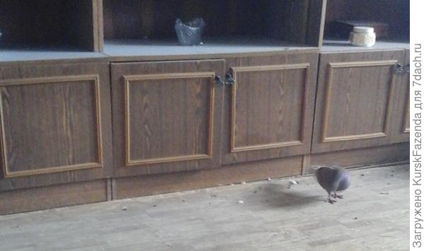 Зашел через балкон