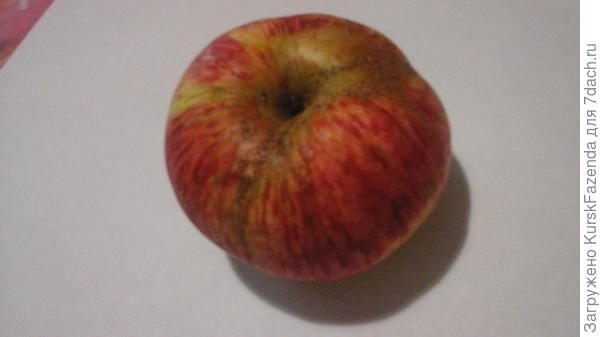 Яблоко