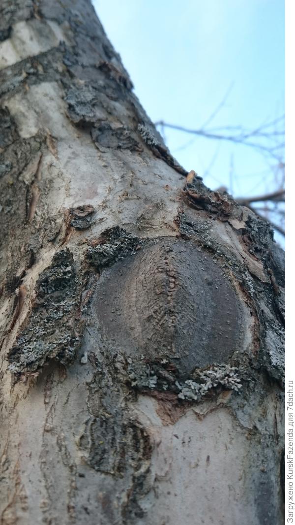 Вообще четко.