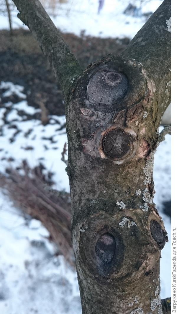 Вот это может привести к тому, что показано на следующем фото, поэтому режем много в одном месте только лишь в крайних случаях.