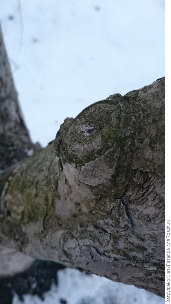 А такие затягиваются за три года.