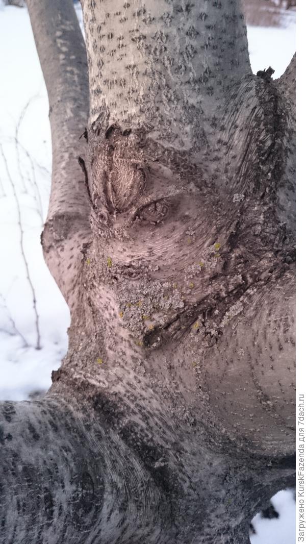 Как и вот здесь.