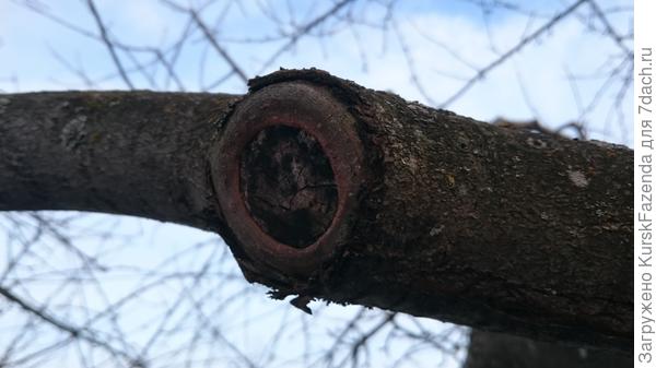 Таких срезов лучше избегать.