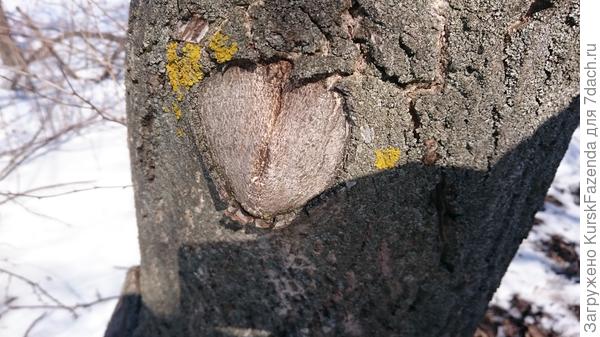 Четкое зарастание.