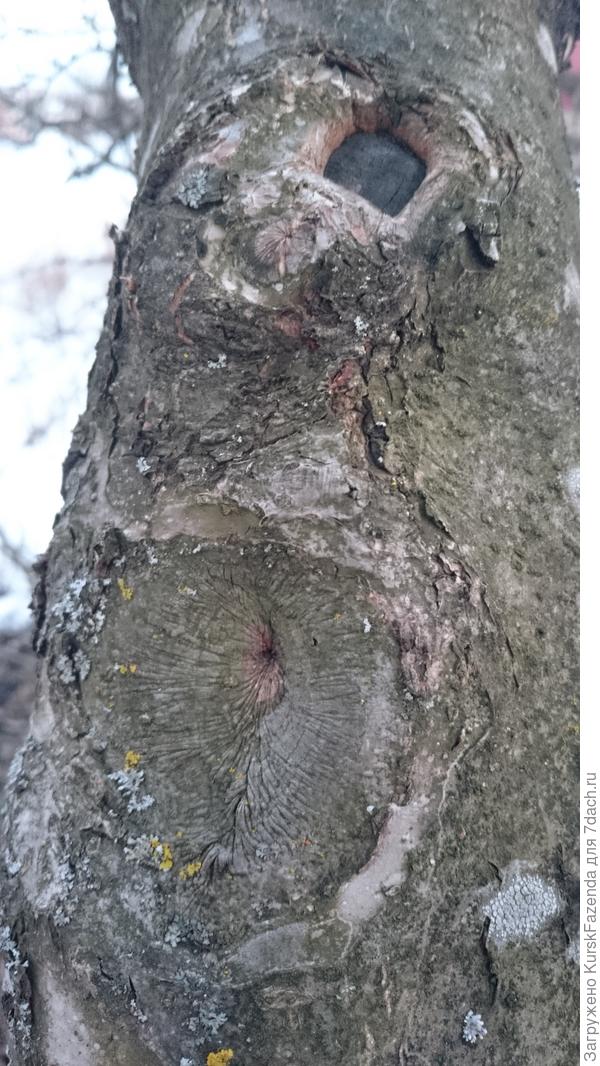 Или не очень..