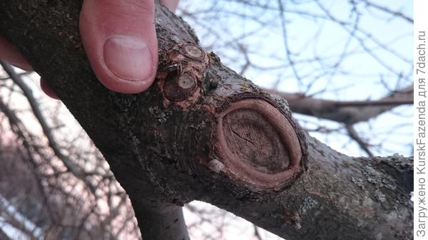 Весьма неплохо.