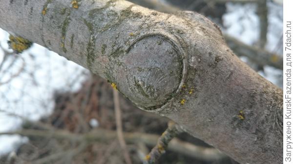 Потрясающее зарастание.