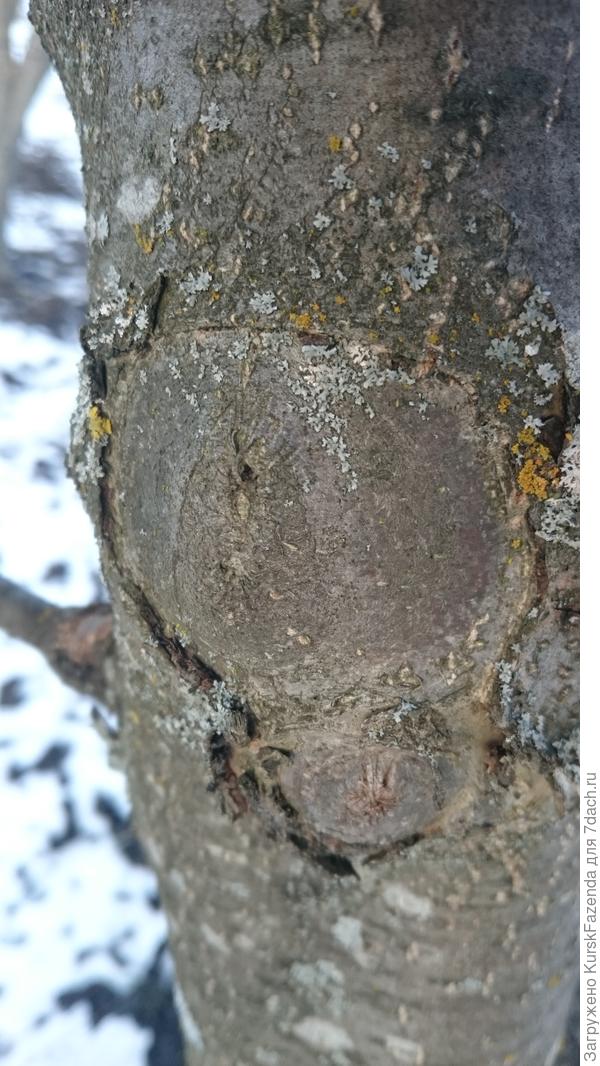 И даже отлично.