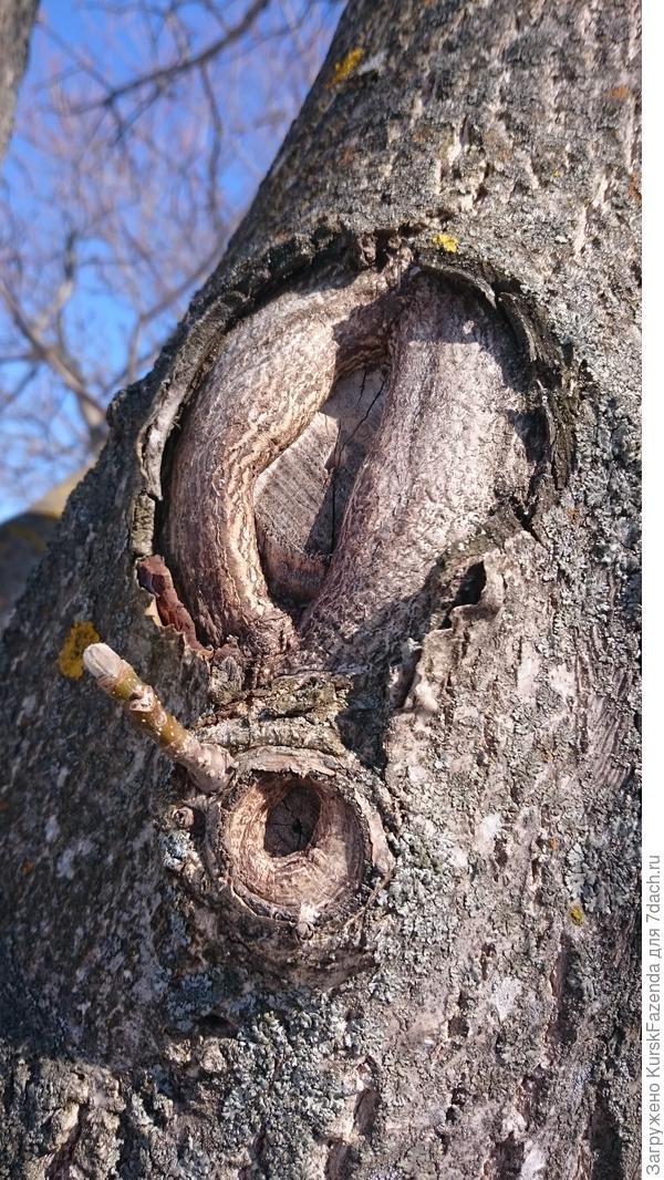 Приемлемо и нормально.