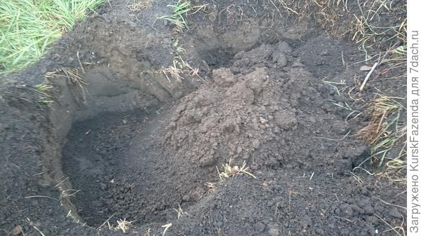 Зарыл основательно. Я за полчаса не смог найти ход.