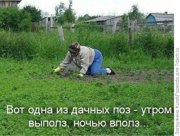 Приколы про дачу (74 фото)