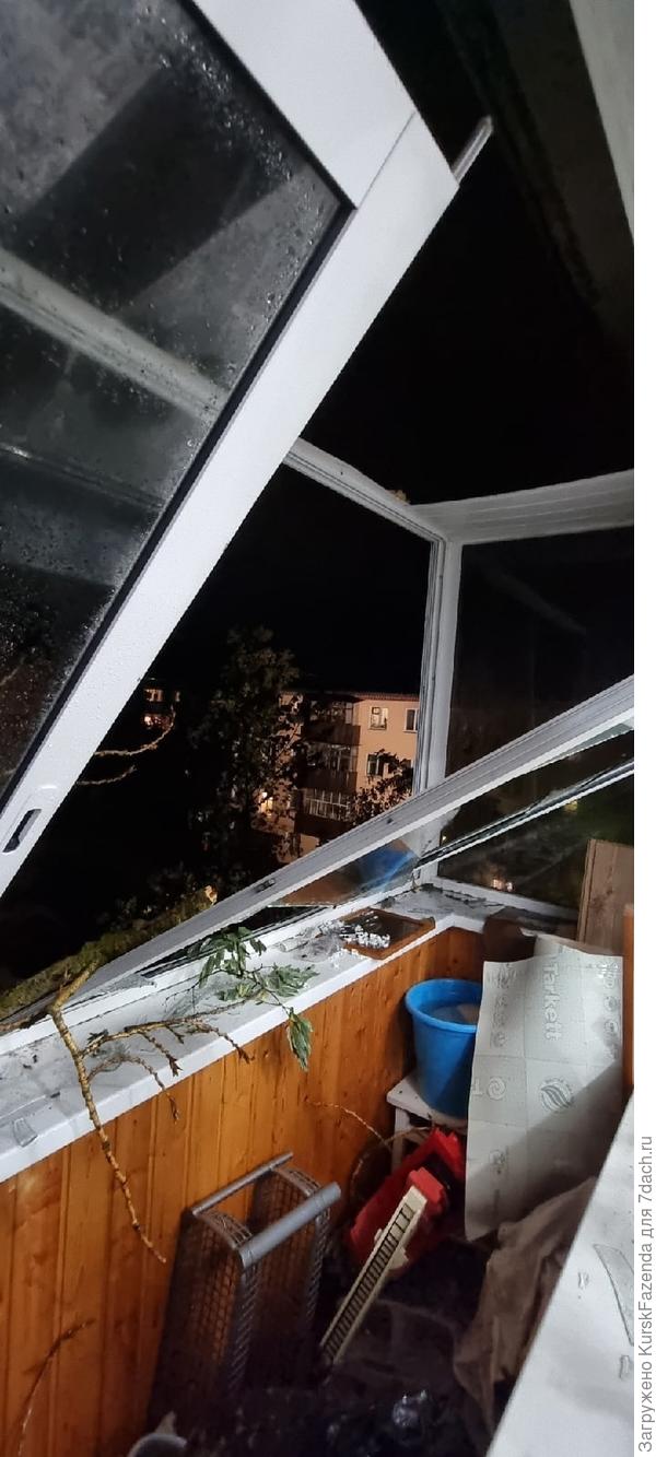 Два дерева упали кому-то на балкон.