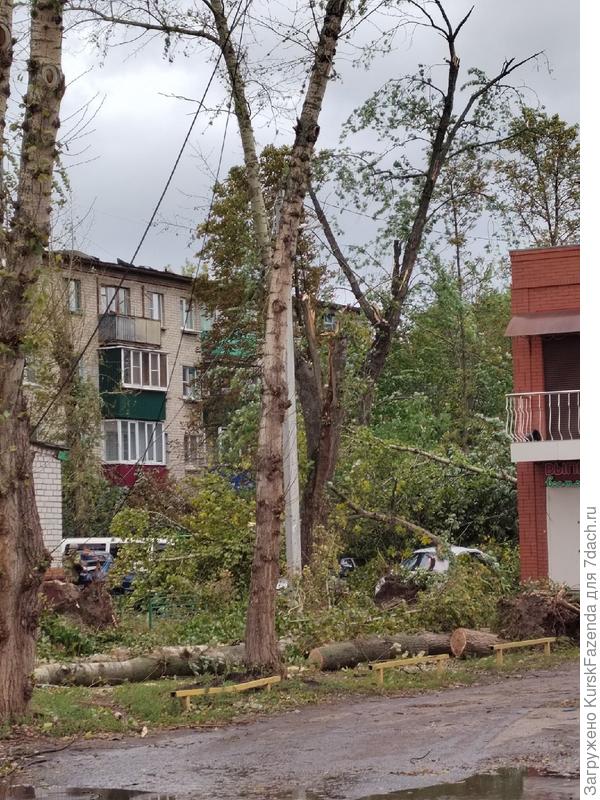 Прямо во дворах прилегающих зданий