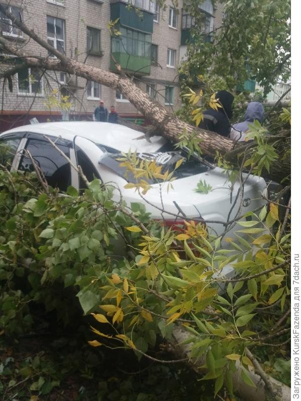 А этому чуваку повезло меньше.