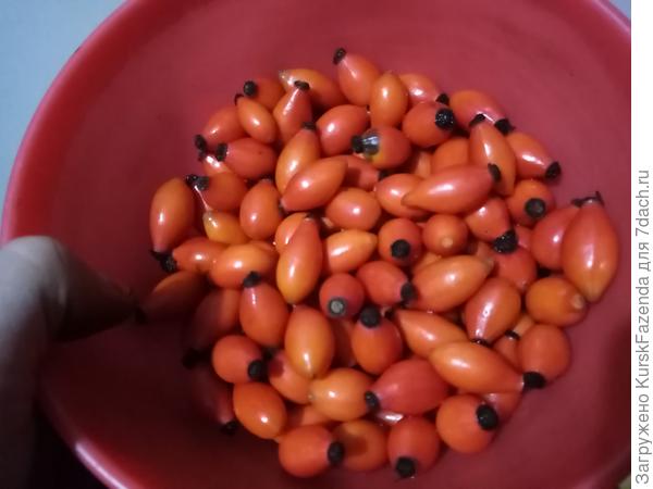 Плодов немного, но и куст небольшой.