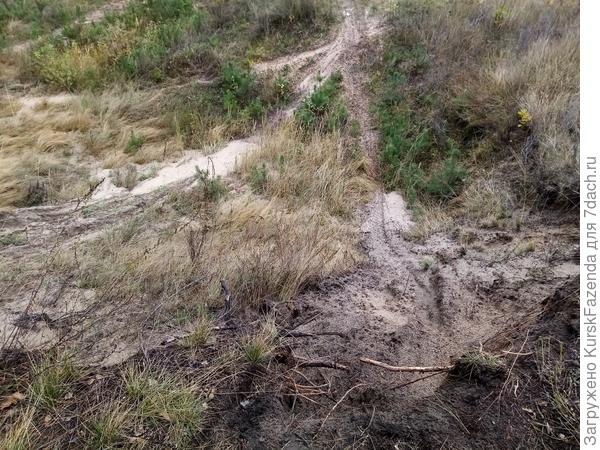 В разных местах встречаю горки, на которых пацаны катались на мотиках