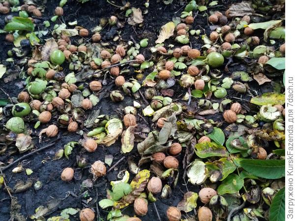 С другой стороны ещё.