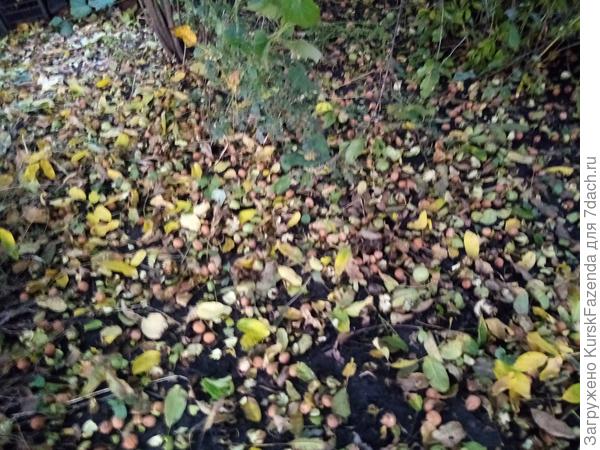 С другой стороны.