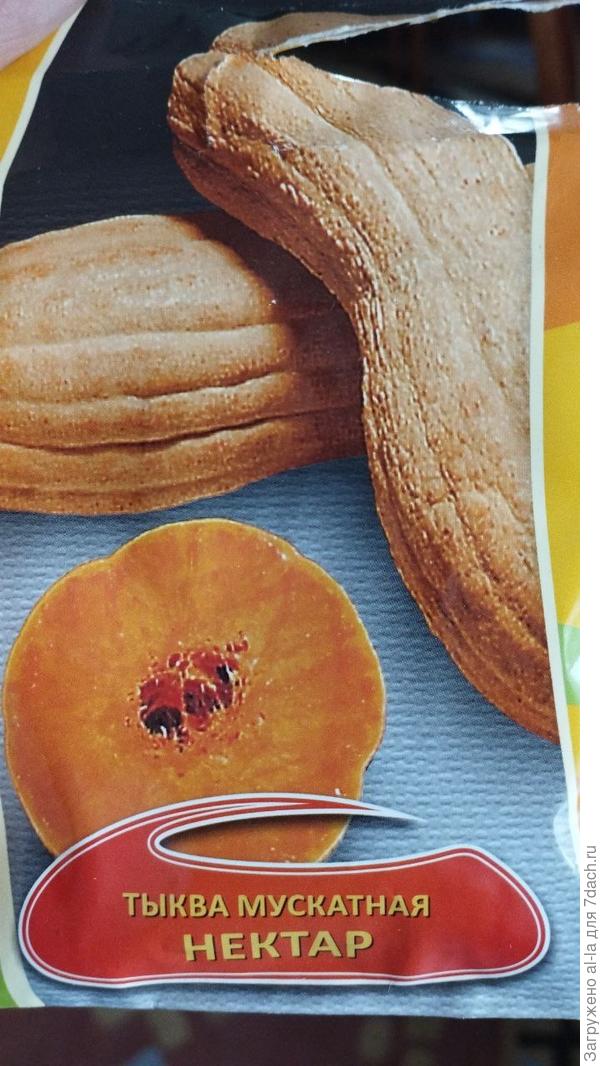 Вот такие семена от Аэлиты я купила